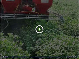 Fully hydraulic high clearance tracked self-propelled tea garden management machine