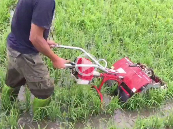 paddy field weeder